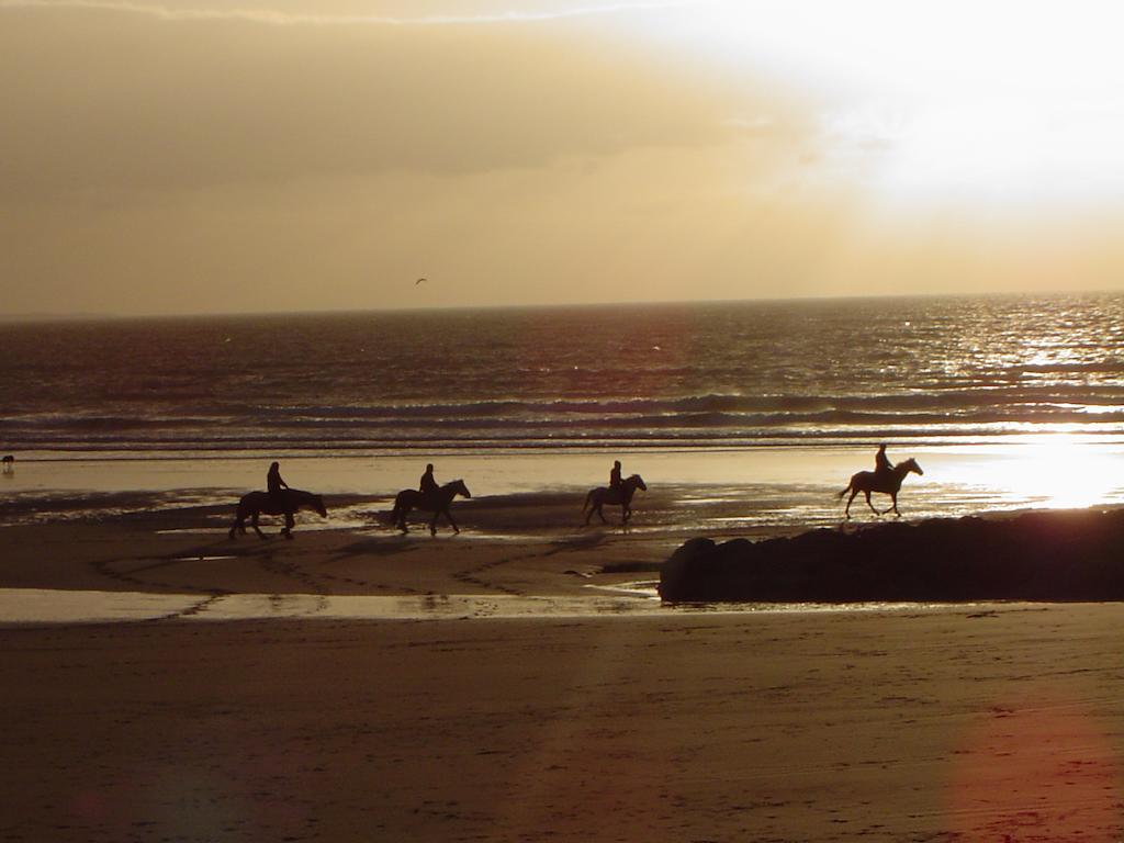 Bryn Mor Beach Hotel Llandwrog Bagian luar foto